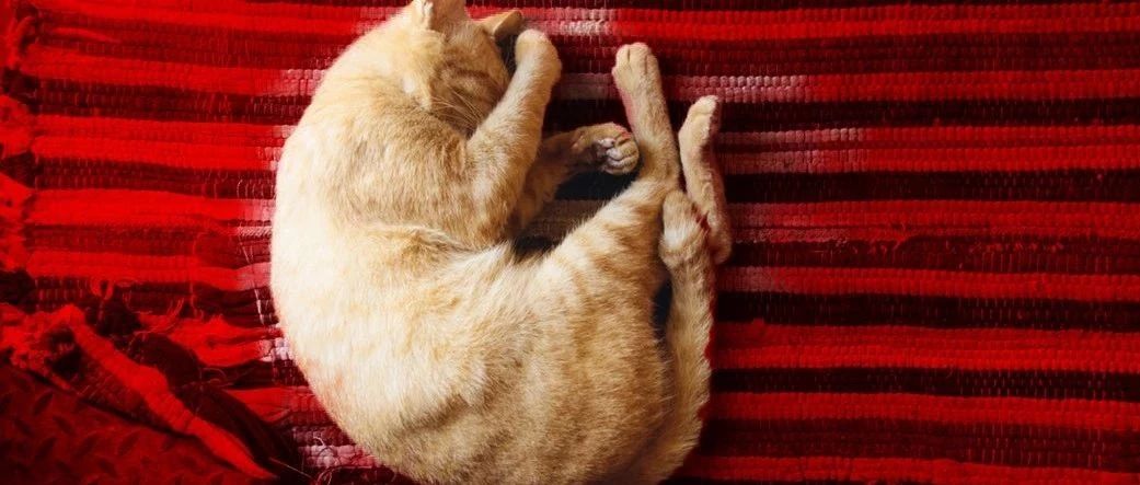 人類發(fā)展的動力，除了懶，還有對舒適的追求